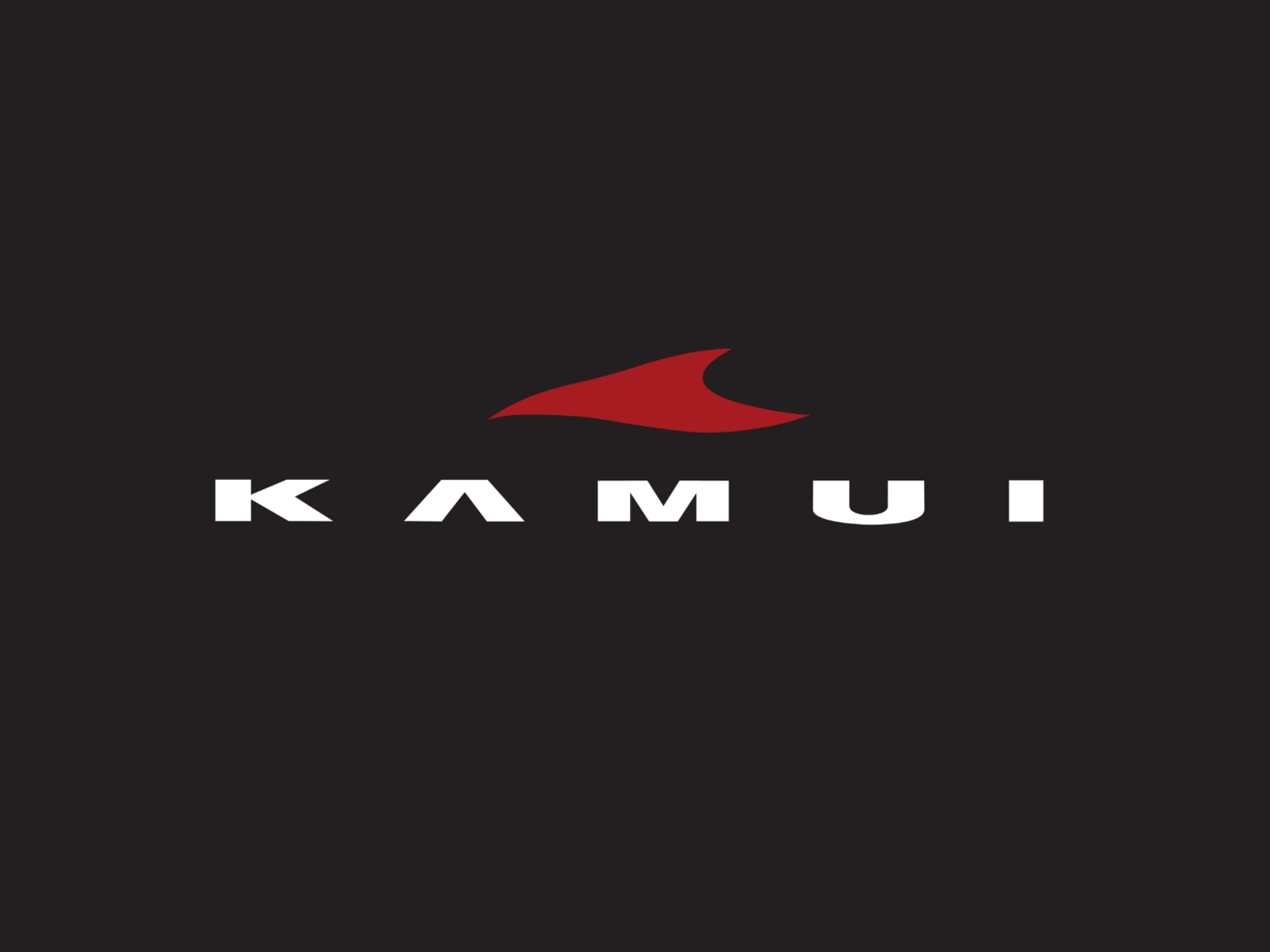 KAMUI（カムイ）ユーティリティ｜やさしく狙える高精度UT